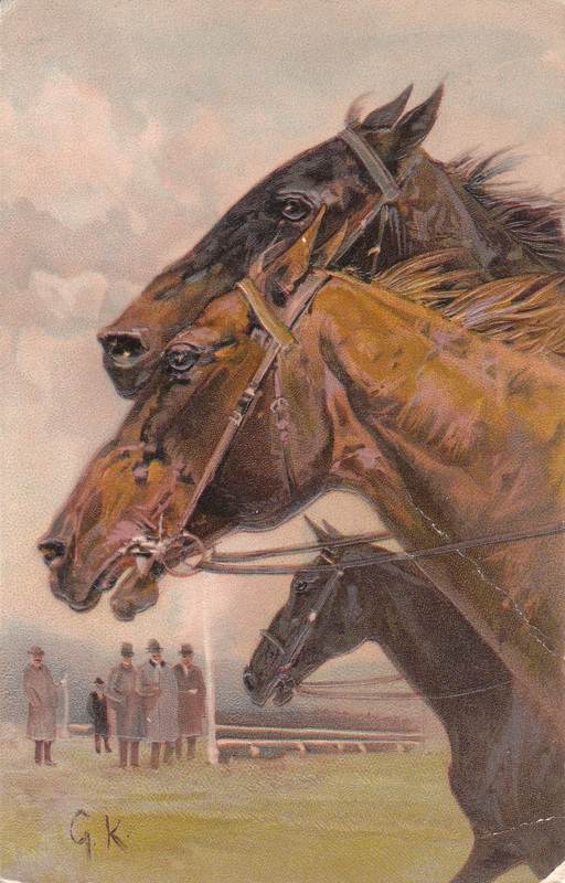 12 Pferdepostkarten AK horse postcards Kaltblüter Paint Horses Pony 